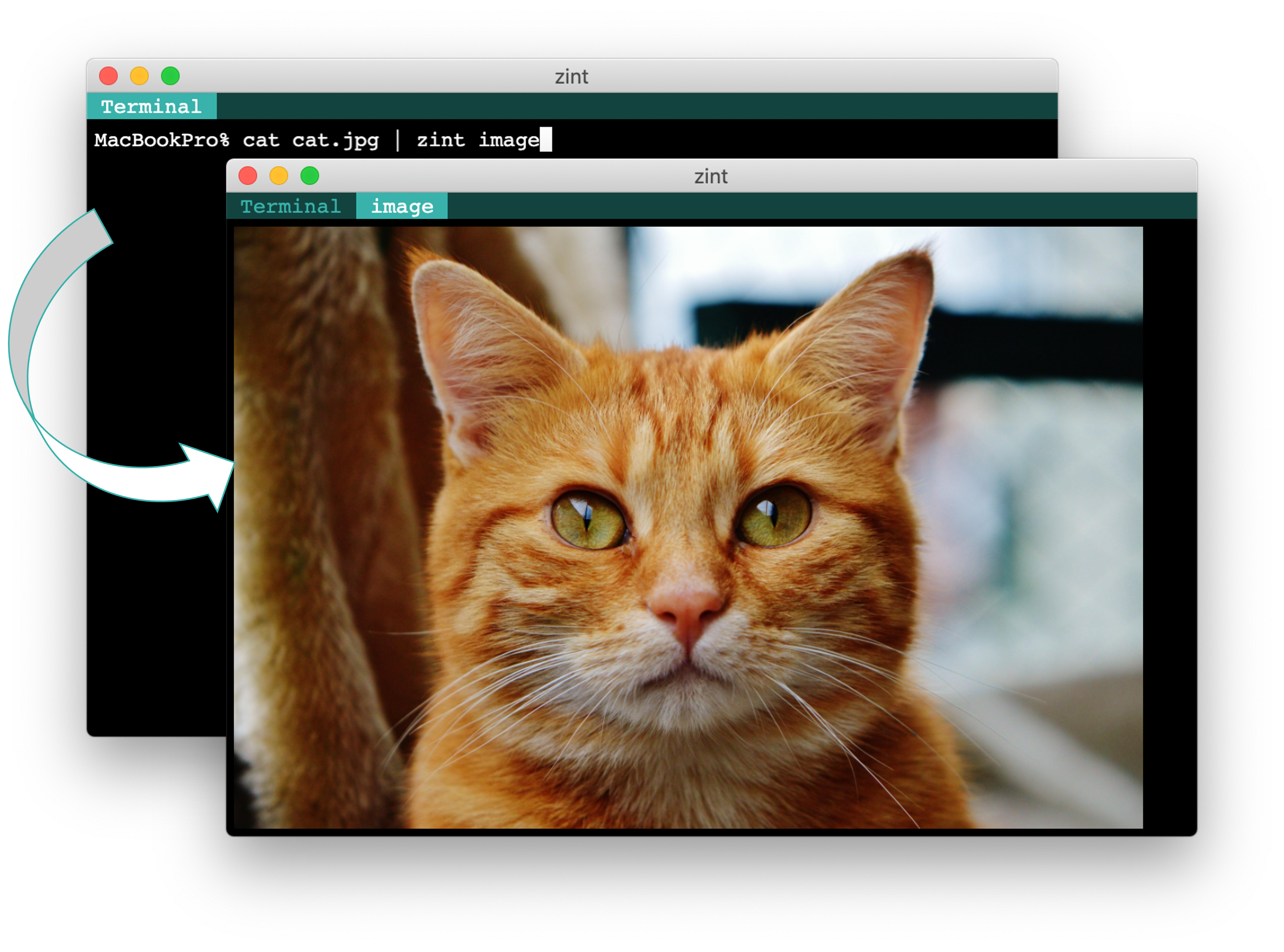 Zint screenshot: a terminal with graphical components